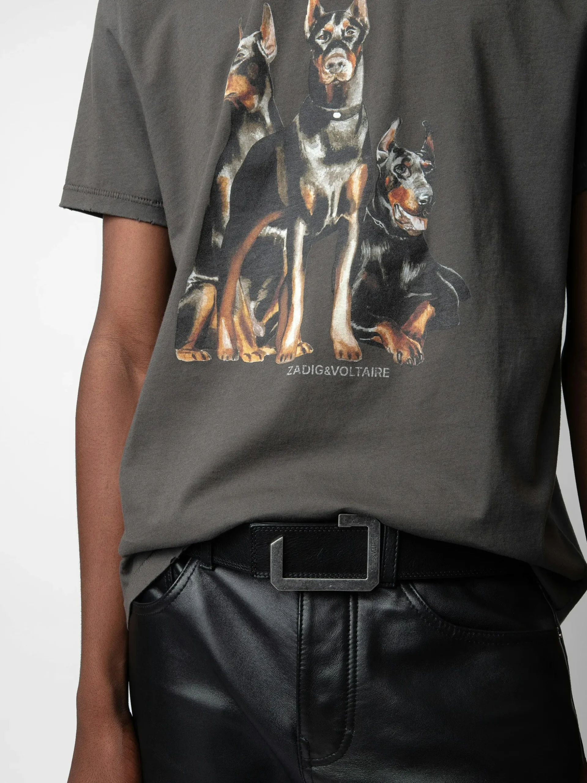 jimmy_tshirt_2-1.webp Zadig&Voltaire Jimmy T-shirt Elephant Online